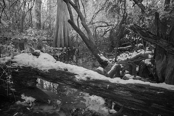 DSC_2799-Edit-Edittree-snow