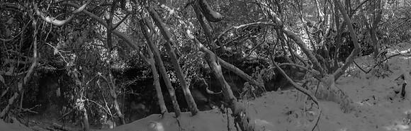 DSC_2395-HDR-Pano
