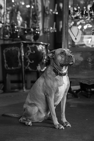DSC06400-2