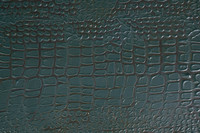 DSC01217