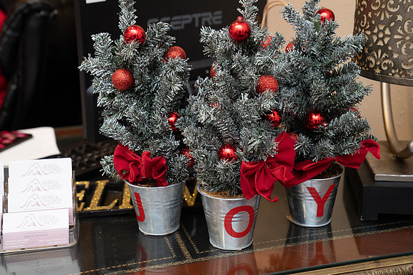 DSC00984NOWCS2019_XmasParty1_FB