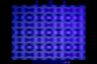 1W1A0491