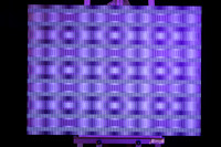 1W1A0489
