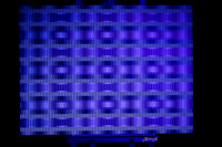 1W1A0492