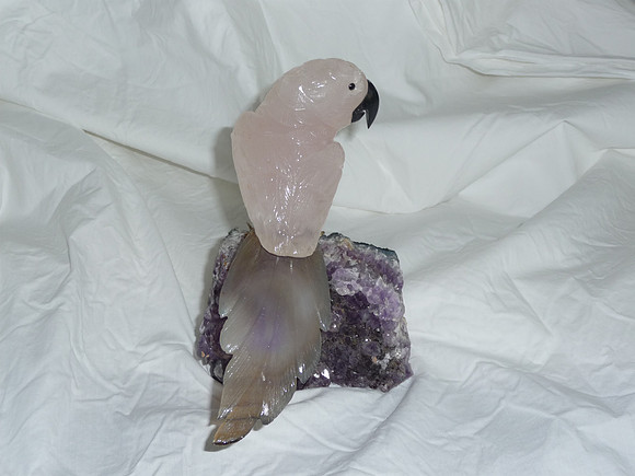 P1010310