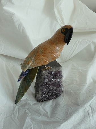 P1010313