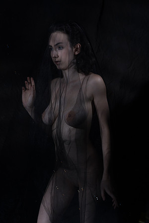 DSC04604
