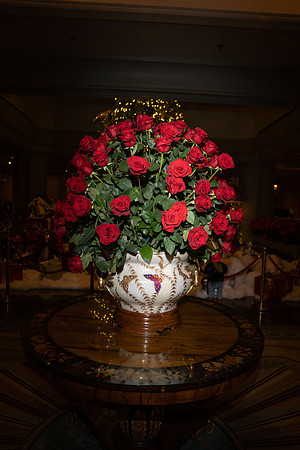 DSC07074-WC_FBREZ