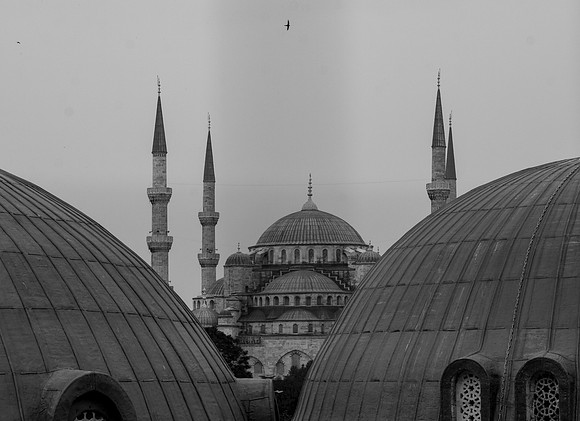 0006_show_IMG_9953