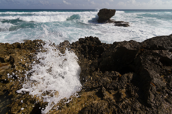 IMG_9059-Edit-Edit