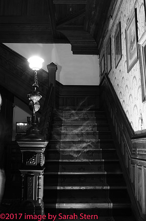 006_ectoplasmic_disturbance