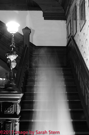 007_veilinmotion