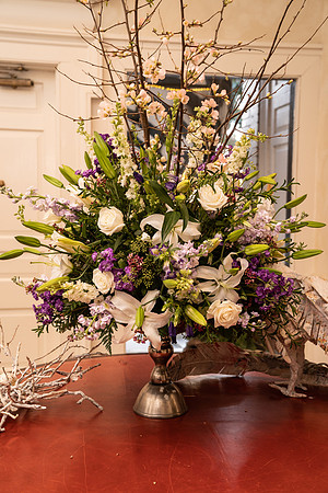 DSC09916_Hirez_OLY22A