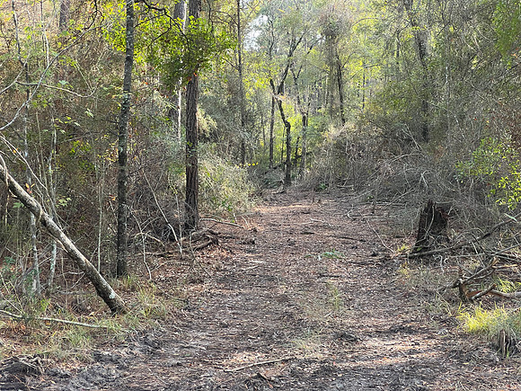 IMG_2105