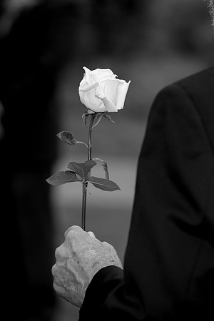 0H9A6543-2