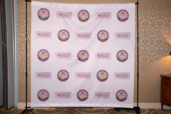 DSC02017apollo2020