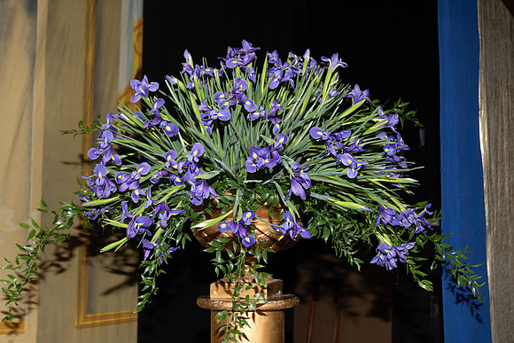 DSC07177_2048_ATH_FBrez_to5x7