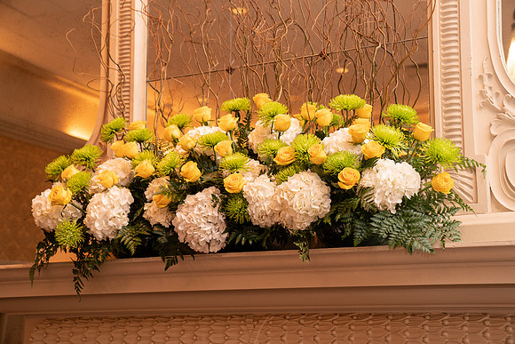 DSC09915_Hirez_OLY22A