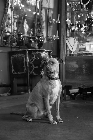 DSC06396-2