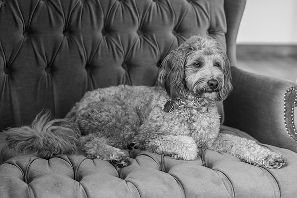 DSC00691-4