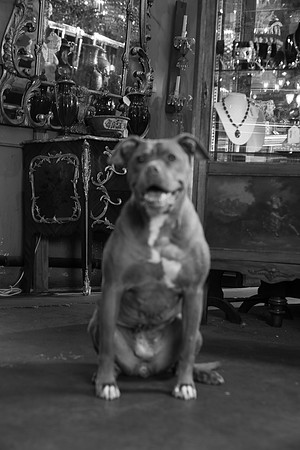 DSC06485-2
