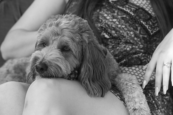 DSC00706-2