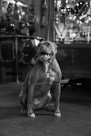 DSC06486-2