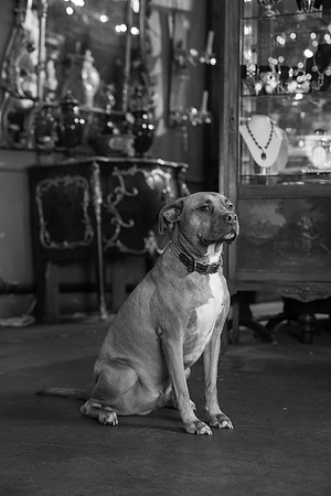 DSC06398-2