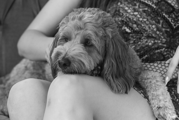 DSC00704-2