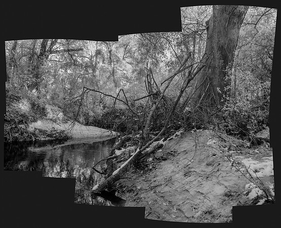 DSC_2638-HDR-Pano-Edittree-snow