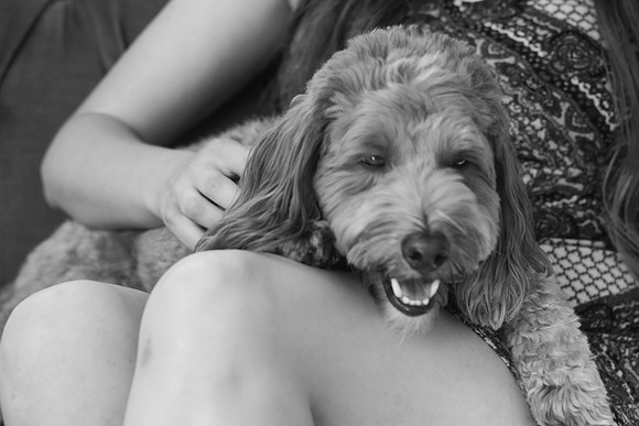 DSC00708-2