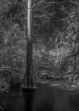 DSC_2200-HDR-Pano