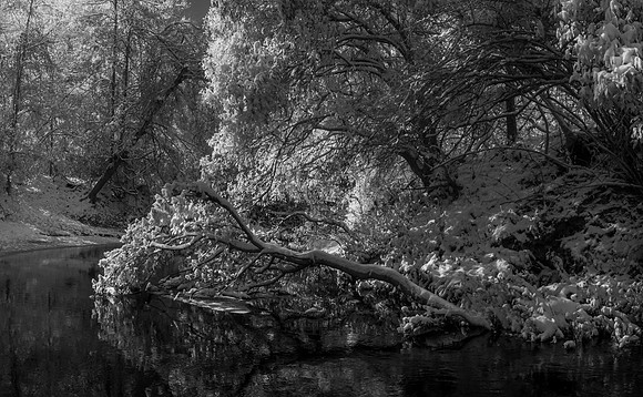 DSC_2450-HDR-Pano