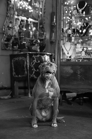 DSC06482-2