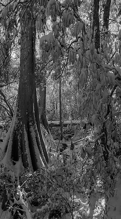 DSC_2371-HDR-Pano